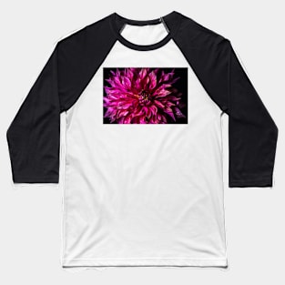 Dahlia Still Life Baseball T-Shirt